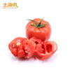 河南兰考沙瓤西红柿5斤