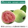 【海到帮】台湾正宗特产珍珠红心芭乐 新鲜番石榴  进口水果