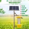 绿色现代农业智能太阳能杀虫灯 果园茶园农场小区太阳能杀虫灯 河南云飞科技