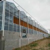 建设玻璃温室大棚 玻璃温室大棚现代农业种植