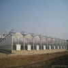 格润gr 大棚花卉温室大棚建造标准 湖北大棚钢管供应厂家 现代农业温室大棚