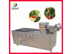 腾昇厂家研发多功能蔬菜清洗机 自动白菜清洗机 连续式蔬菜清洗机 蔬菜清洗机厂家