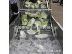 蔬菜清洗机.果蔬清洗机生产 叶菜气泡清洗机 蔬菜鼓泡清洗机