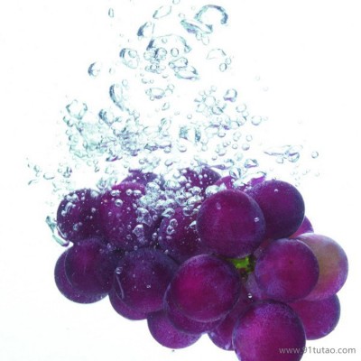 恒发 自产自销 新鲜水果 新鲜葡萄  巨峰葡萄 可批发