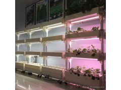 【润康园】智能蔬菜种植设备 城市农场蔬菜种植机  家庭阳台种植机