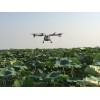 专业团队 高效率低成本 提供无人机植保服务 飞防出租 无人机打农药