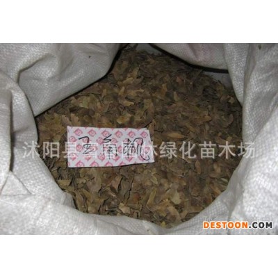 花木种子，花卉种子，绿化苗木种子(图)