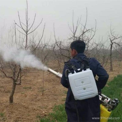 果树弥雾机 林业汽油弥雾机 新型汽油烟雾机设备