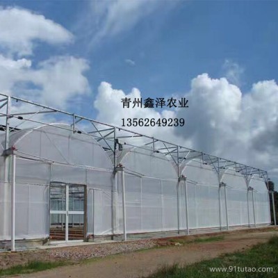 鑫泽  农业园区建设规划 种植温室 种植大棚 采摘大棚