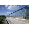 阳光板温室、玻璃温室、薄膜联栋温室