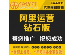 /阿里店铺装修托管 诚信通代运营网络专业推广运营流量提升