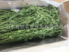 2018烘干紫花苜蓿草/龙猫兔粮/通用磨牙零食包装升级宠物猪粮食