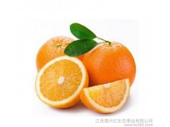 预售产地直销江西特产腊月红脐橙新鲜水果赣南脐橙20斤 礼品