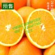 上海脐橙代售点 正宗江西赣南宁都脐橙 冬季热销水果 果园直销