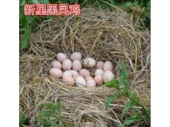 新星散养初生土鸡蛋30枚破损包赔农家特产新鲜鸡蛋正宗生态土鸡蛋 营养价值更高