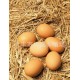 农村散养土鸡禽蛋 有机鸡蛋土鸡蛋