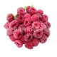 厂家大量直销  新鲜水果 速冻红树莓 量大从优 欢迎咨询