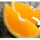 【预售】江西特产脐橙 新鲜水果 原生态赣南脐橙18斤果径50