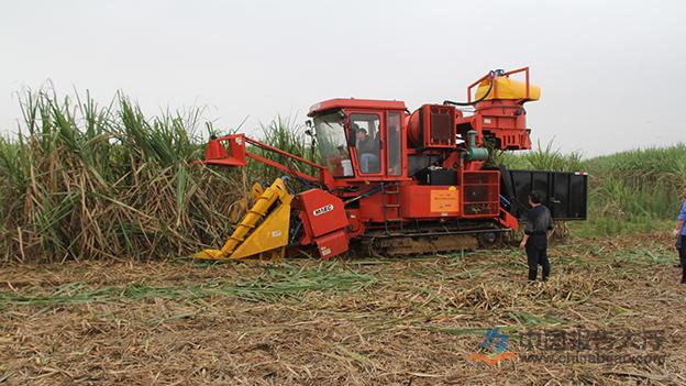 广西甘蔗生产加快推进全程机械化