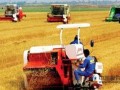 中国农机工业已经能满足我国农业生产90%的份额需求