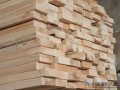 规范进口木材名称 杜绝市场造假行为