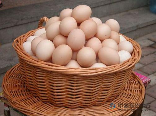 鸡蛋价格下滑明显跌幅达33% 行业集中度过低