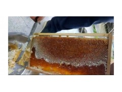 浏阳特产天岩寨纯天然蜂蜜