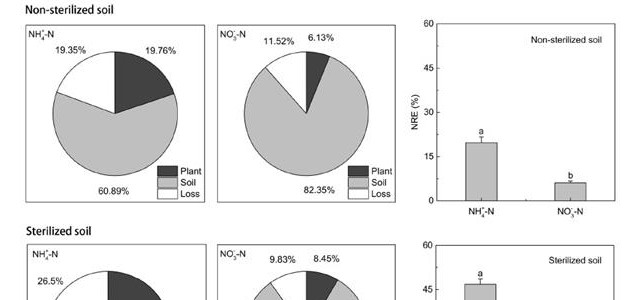 南京土壤所揭示玉米铵偏好特性对其氮肥利用率的贡献