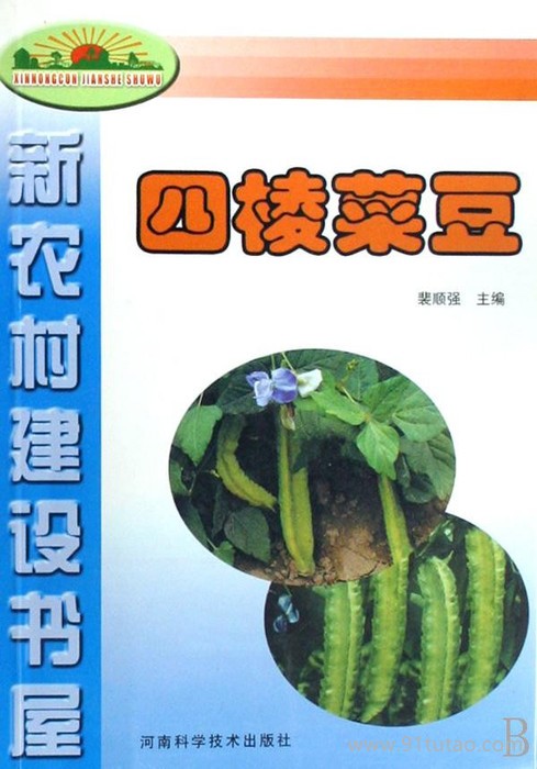 四棱菜豆 四棱豆 四棱豆种植技术 农业科技  农业技术 农业计生户教科书 四棱豆种植书