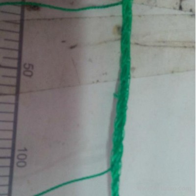 全新扬子料高质量裁剪缝纫加边 聚乙烯爬藤用网 攀爬网 支架网 农业用网 380D/18ply