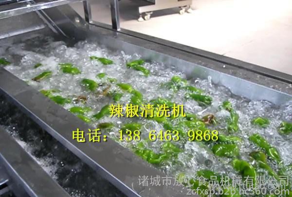 臭氧杀菌蔬菜清洗机放心食品机械专业生产材质不锈钢SUS304