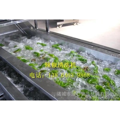 臭氧杀菌蔬菜清洗机放心食品机械专业生产材质不锈钢SUS304