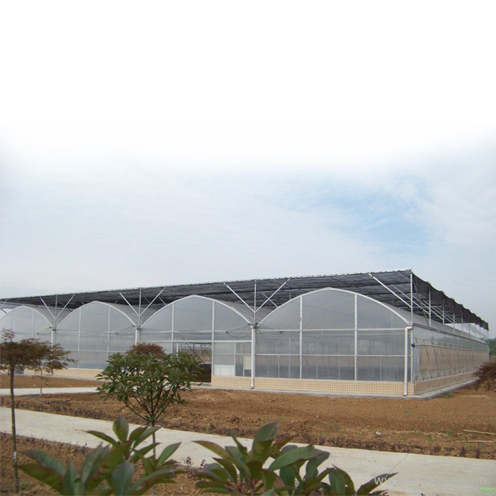 格润GR 农业智能温室大棚 农业玻璃温室大棚 农业连栋温室连栋大棚