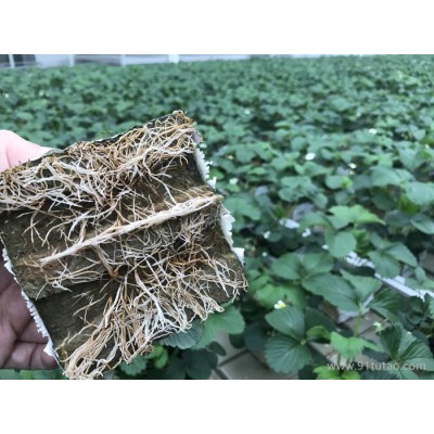 Drainwool&Hydrowool农业岩棉欢迎新老客户咨询采购农业岩棉育苗塞欢迎电话咨询