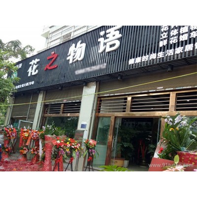 无土栽培加盟 开店项目 鲜花店加盟 水培花卉 植物盆栽 小植物组合盆栽代理批发