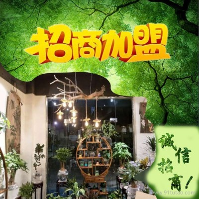 水培花卉招商加盟 榕树招商加盟 小植物盆栽招商加盟 植物招商加盟 诚招加盟代理商