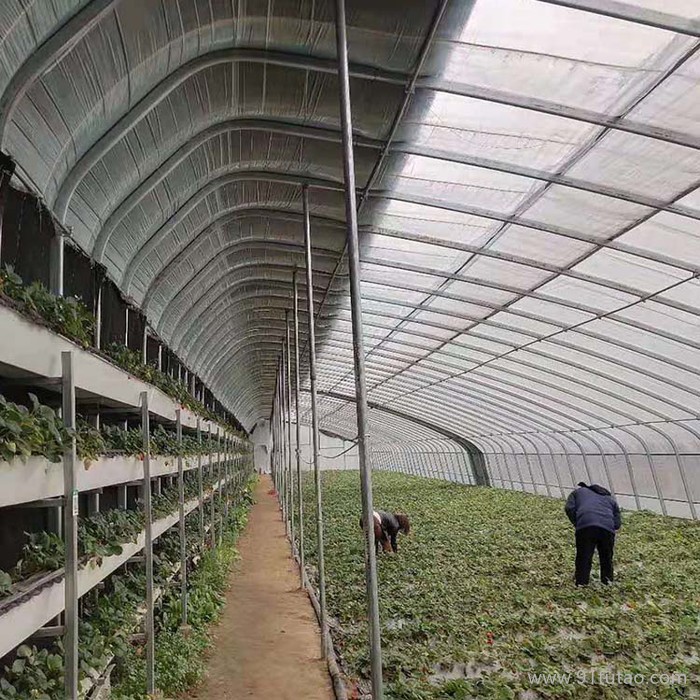蔬菜大棚厂家富农温室供应蔬菜大棚 塑料蔬菜大棚 温室蔬菜大棚