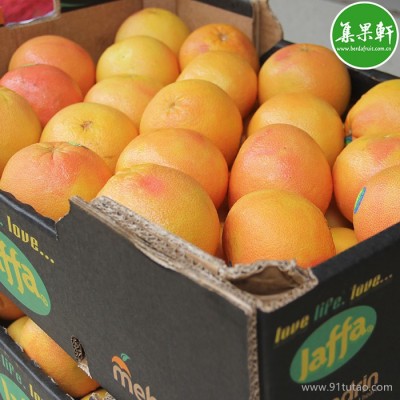 Jaffa 以色列西柚 批发 广州一手货源批发  葡萄柚进口商