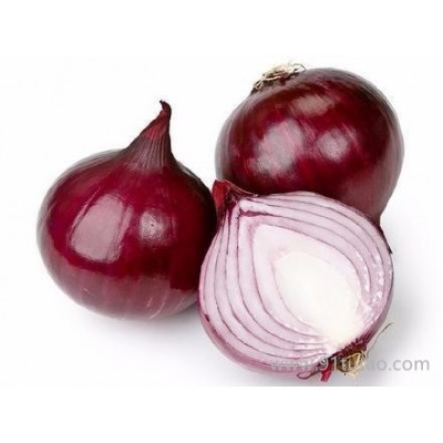 科威红4号   洋葱种子 中熟 紫红色 短日照 高产