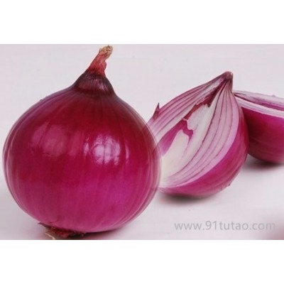 科威红5号 短日照 早中熟 紫红色 圆球形 高产优质 红皮洋葱种子