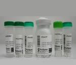 一基苯甲酰芍药苷(标准品)38642-49-8