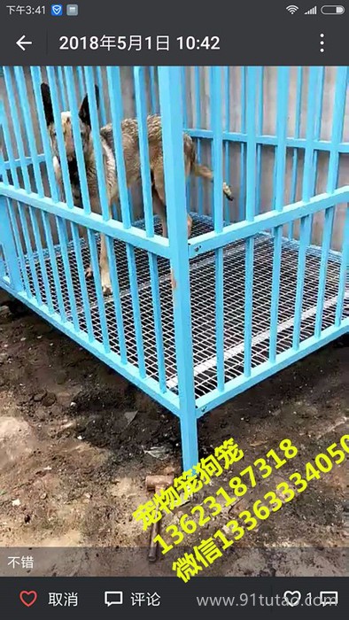 禄基厂生产的 宠物笼狗笼 兔笼 家用宠物笼 自制宠物笼 焊接宠物笼     狗笼  宠物笼