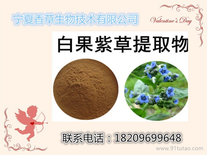 黑蒜提取物50:1 厂家批发发酵黑蒜浓缩粉  黑蒜浓缩粉水溶型