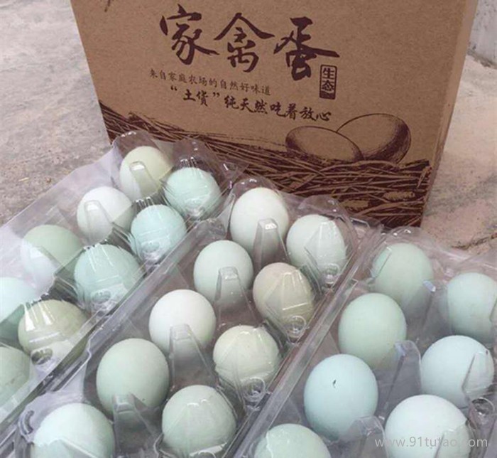 绿壳鸡蛋 农林散养鲜鸡蛋 无公害绿鸡蛋 30枚起全包邮