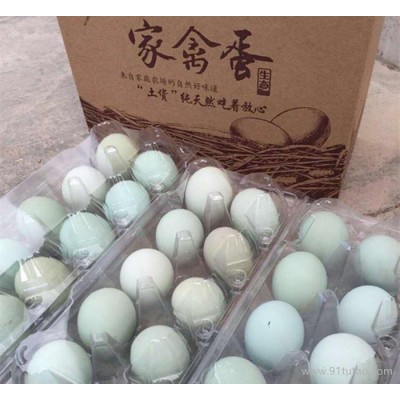绿壳鸡蛋 农林散养鲜鸡蛋 无公害绿鸡蛋 30枚起全包邮