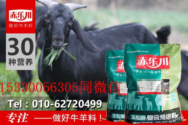 赤乐川饲料级 圈养羊的饲料配方