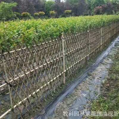 紫薇花瓶 紫薇花瓶价格  紫薇造型花瓶  紫薇花瓶基地 湖南紫薇花瓶