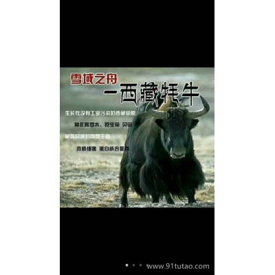 西藏牦牛肉干-缘定川藏俱乐部 西藏特产