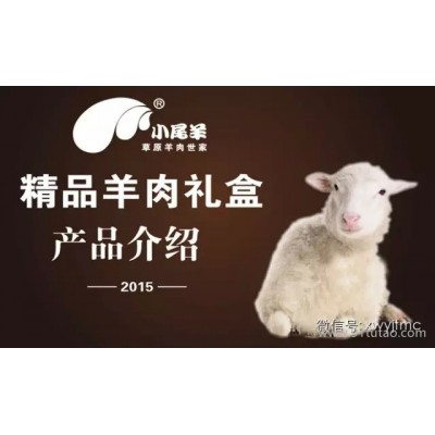 内蒙古小尾羊精致羊肉礼盒4.9kg人祥礼盒