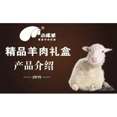 内蒙古小尾羊精致羊肉礼盒3kg臻羔肉卷礼盒